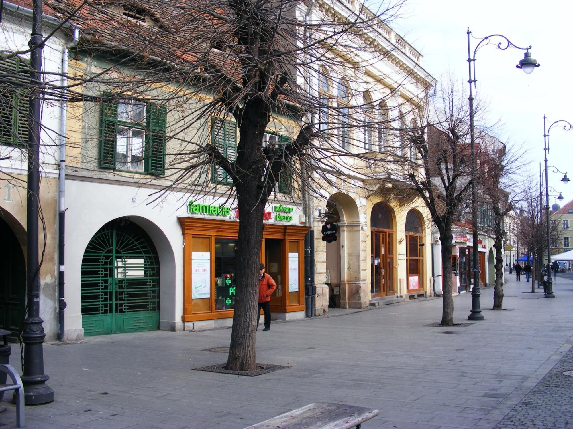 Apartment Gabriel Sibiu Exterior foto